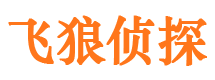 扶沟市私人调查